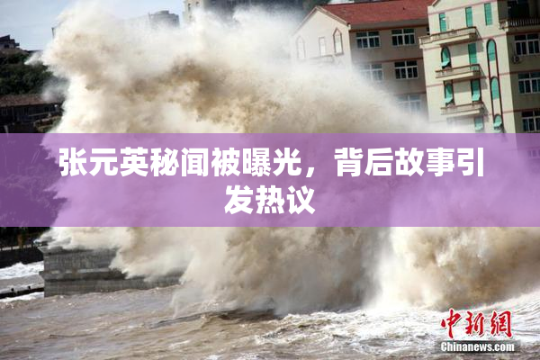张元英秘闻被曝光，背后故事引发热议