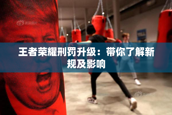 王者荣耀刑罚升级：带你了解新规及影响