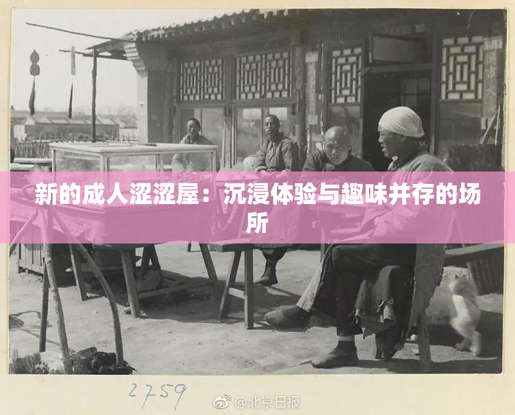 新的成人涩涩屋：沉浸体验与趣味并存的场所