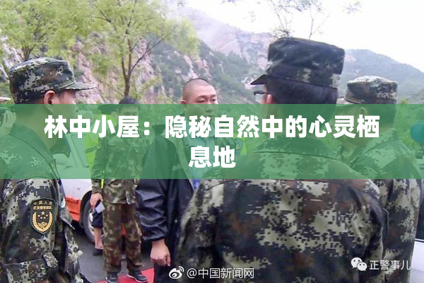 林中小屋：隐秘自然中的心灵栖息地