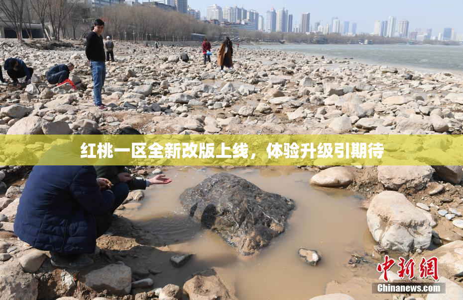 红桃一区全新改版上线，体验升级引期待