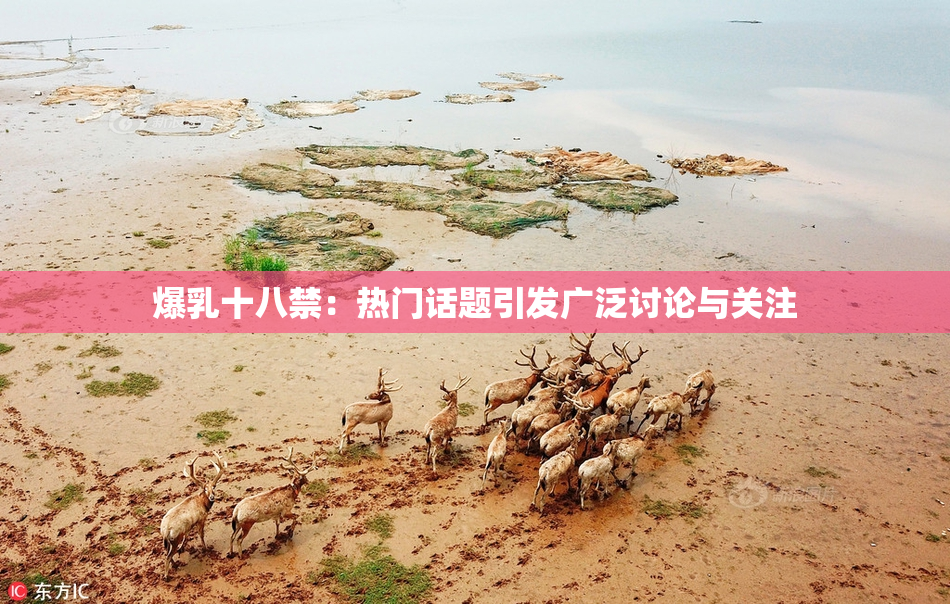 爆乳十八禁：热门话题引发广泛讨论与关注