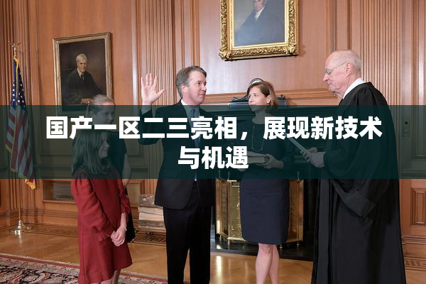 国产一区二三亮相，展现新技术与机遇