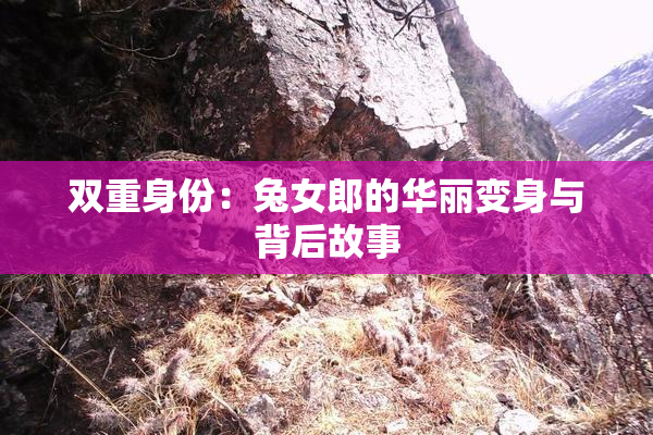 双重身份：兔女郎的华丽变身与背后故事