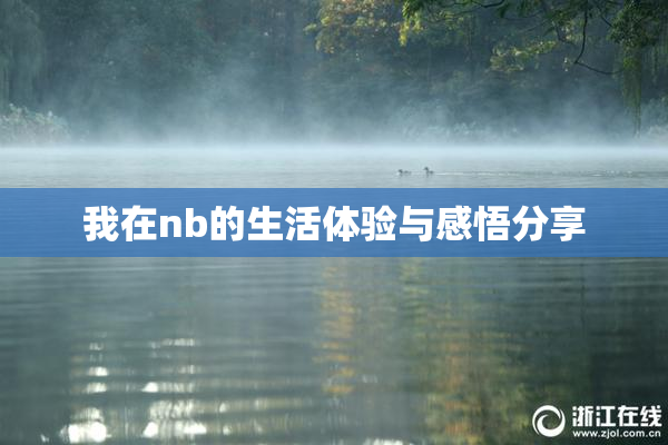 我在nb的生活体验与感悟分享