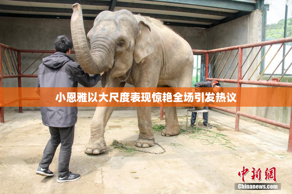 小恩雅以大尺度表现惊艳全场引发热议