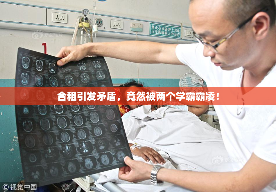 合租引发矛盾，竟然被两个学霸霸凌！