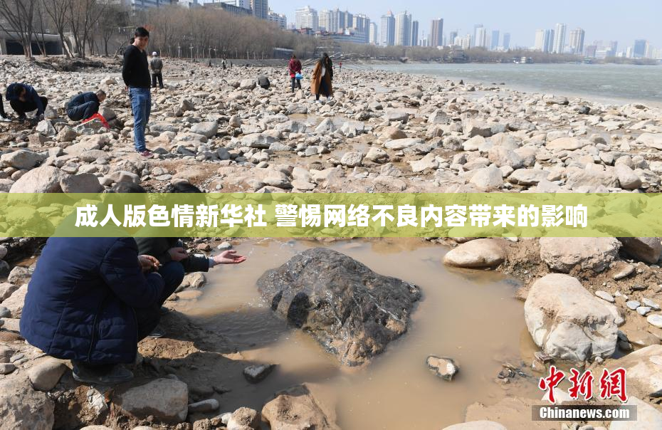 成人版色情新华社 警惕网络不良内容带来的影响