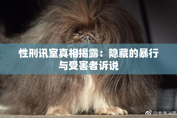 性刑讯室真相揭露：隐藏的暴行与受害者诉说
