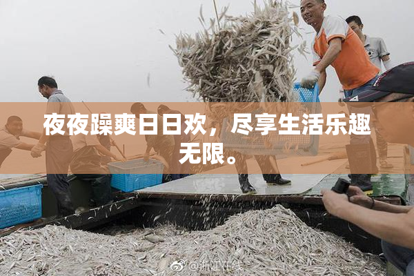 夜夜躁爽日日欢，尽享生活乐趣无限。
