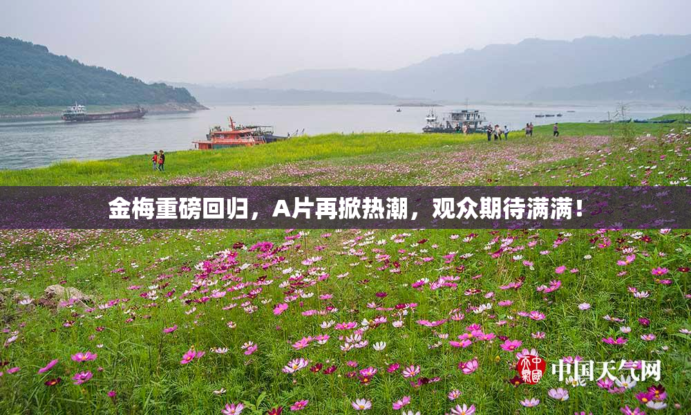 金梅重磅回归，A片再掀热潮，观众期待满满！