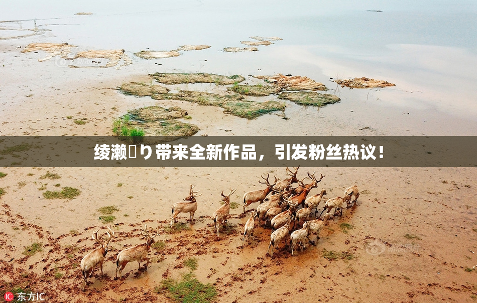 绫濑✿り带来全新作品，引发粉丝热议！