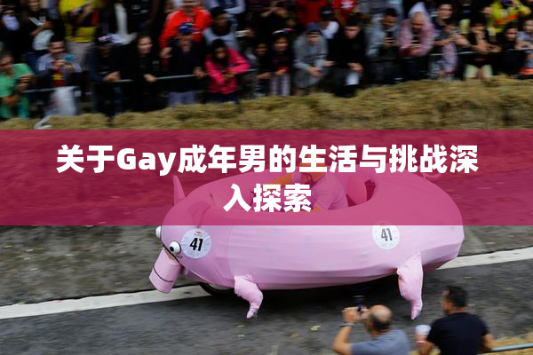 关于Gay成年男的生活与挑战深入探索
