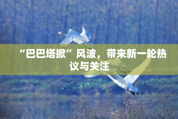 “巴巴塔掀”风波，带来新一轮热议与关注