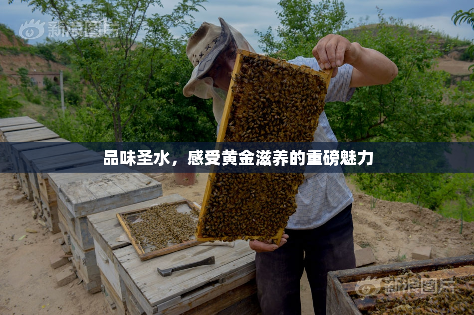 品味圣水，感受黄金滋养的重磅魅力