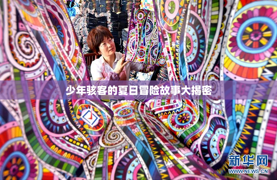 少年骇客的夏日冒险故事大揭密