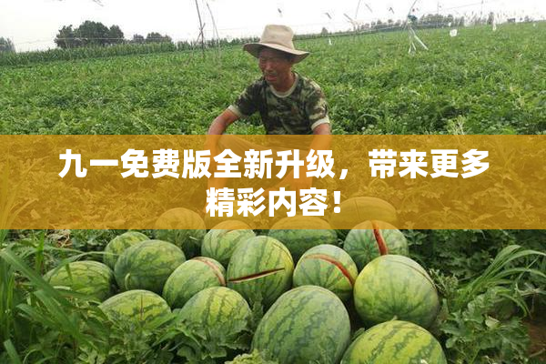 九一免费版全新升级，带来更多精彩内容！
