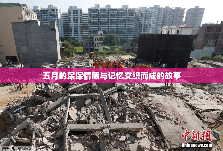 五月的深深情感与记忆交织而成的故事