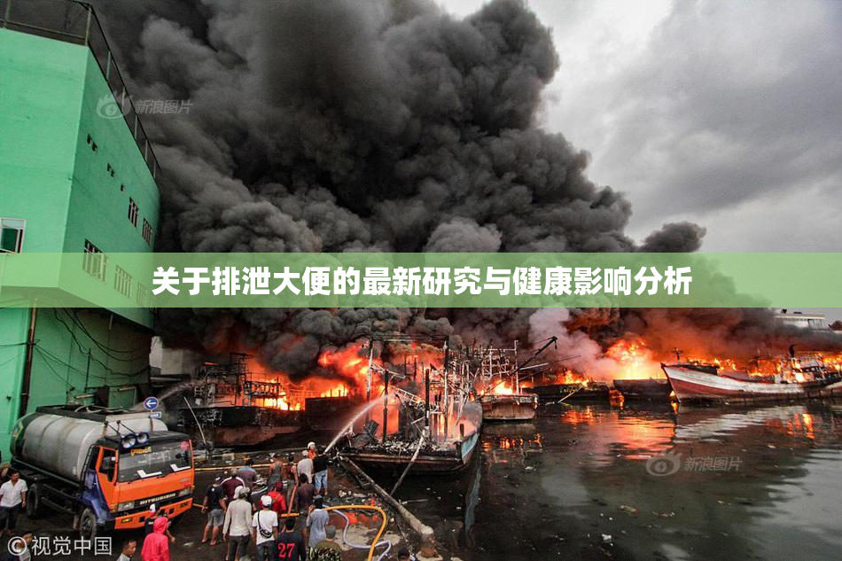 关于排泄大便的最新研究与健康影响分析