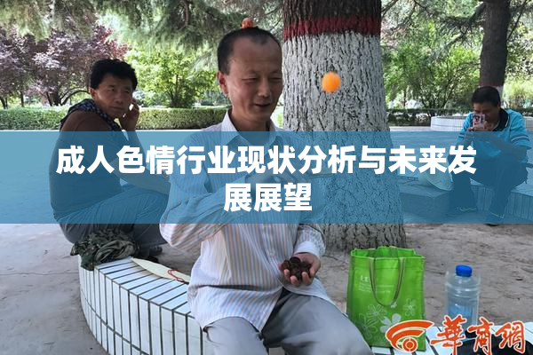 成人色情行业现状分析与未来发展展望