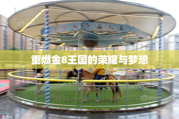 重燃金8王国的荣耀与梦想