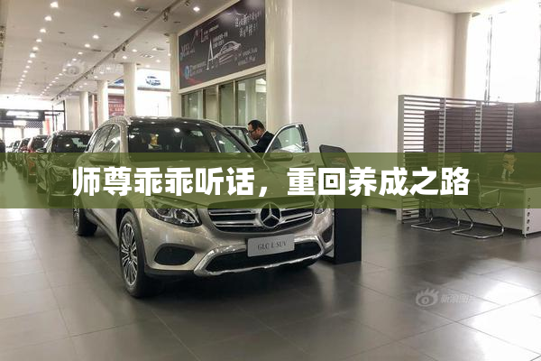 师尊乖乖听话，重回养成之路