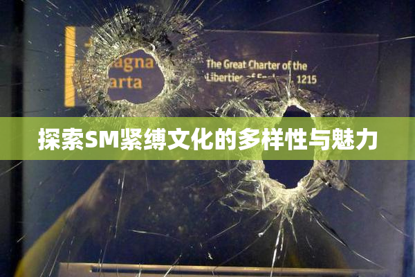 探索SM紧缚文化的多样性与魅力