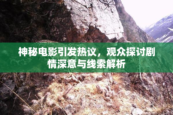 神秘电影引发热议，观众探讨剧情深意与线索解析