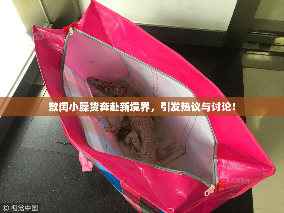 敖闰小臊货奔赴新境界，引发热议与讨论！