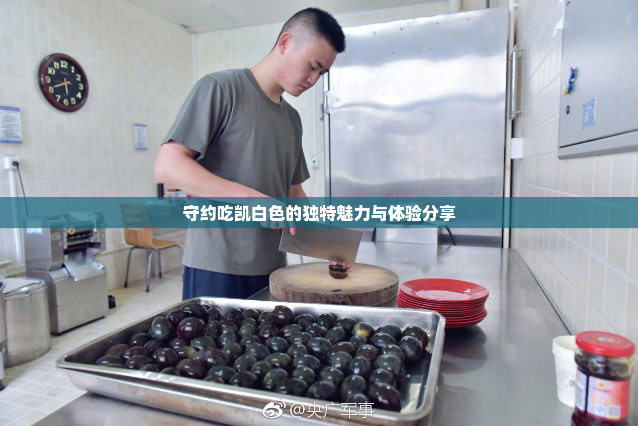 守约吃凯白色的独特魅力与体验分享