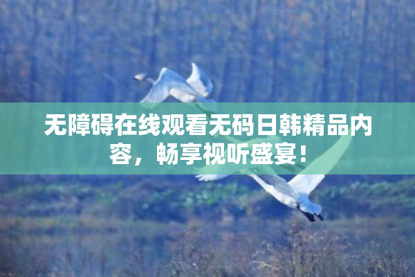 无障碍在线观看无码日韩精品内容，畅享视听盛宴！