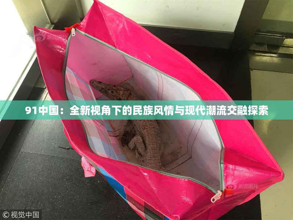 91中国：全新视角下的民族风情与现代潮流交融探索