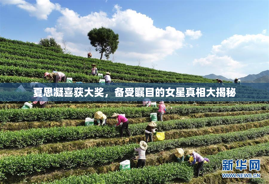 夏思凝喜获大奖，备受瞩目的女星真相大揭秘