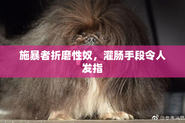 施暴者折磨性奴，灌肠手段令人发指
