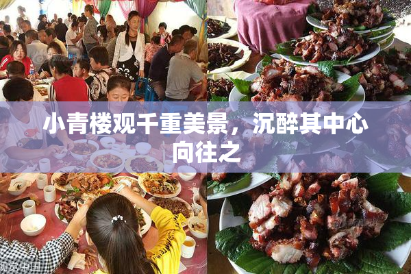 小青楼观千重美景，沉醉其中心向往之