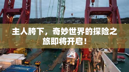 主人胯下，奇妙世界的探险之旅即将开启！