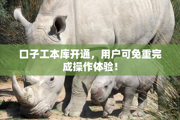 口子工本库开通，用户可免重完成操作体验！