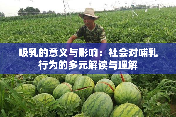 吸乳的意义与影响：社会对哺乳行为的多元解读与理解