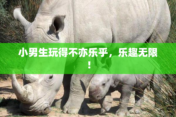 小男生玩得不亦乐乎，乐趣无限！
