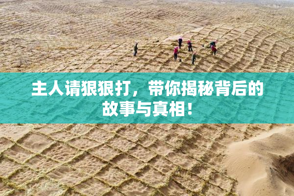 主人请狠狠打，带你揭秘背后的故事与真相！