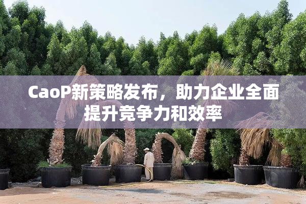 CaoP新策略发布，助力企业全面提升竞争力和效率