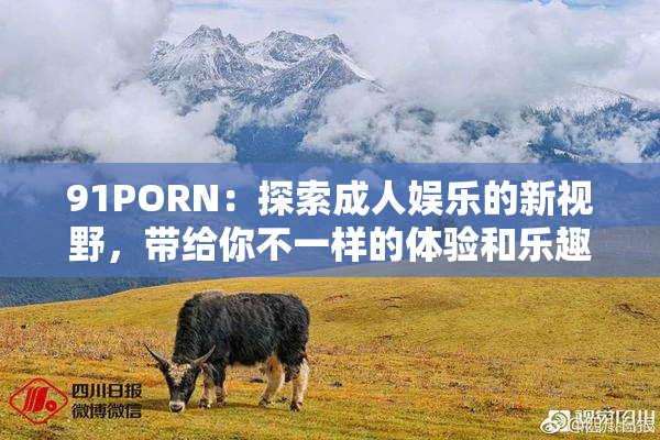 91PORN：探索成人娱乐的新视野，带给你不一样的体验和乐趣！