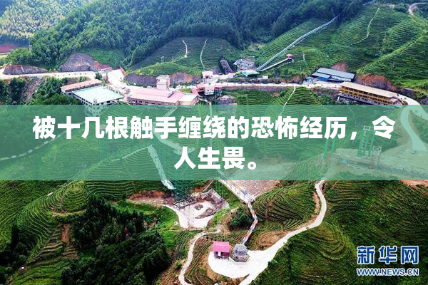 被十几根触手缠绕的恐怖经历，令人生畏。