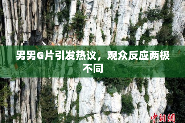男男G片引发热议，观众反应两极不同