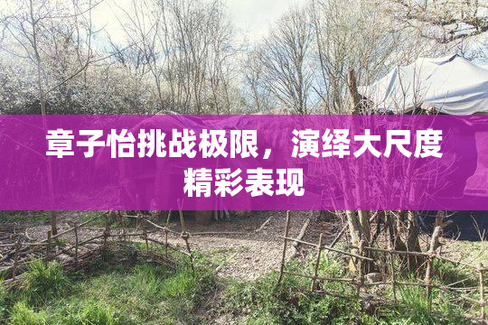 章子怡挑战极限，演绎大尺度精彩表现