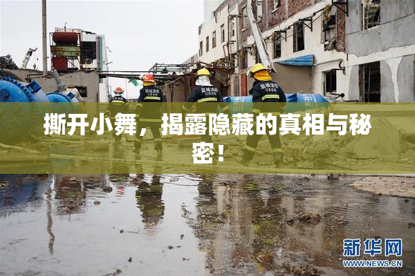 撕开小舞，揭露隐藏的真相与秘密！