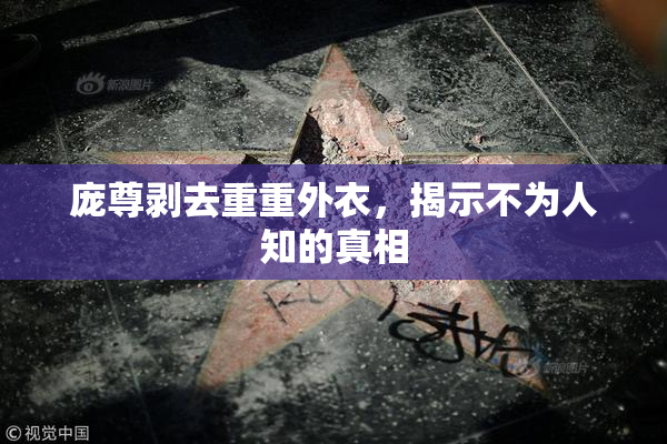 庞尊剥去重重外衣，揭示不为人知的真相