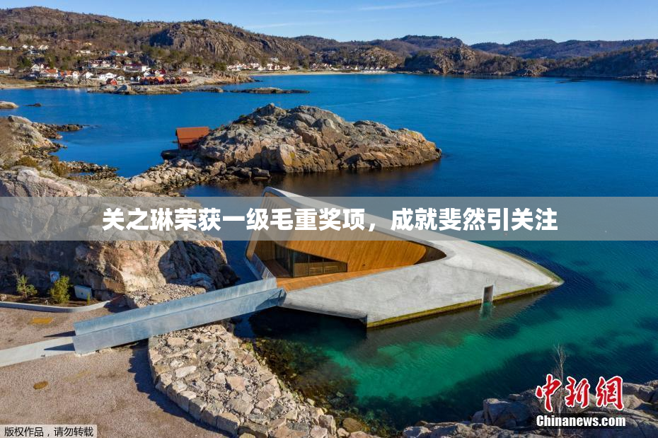关之琳荣获一级毛重奖项，成就斐然引关注