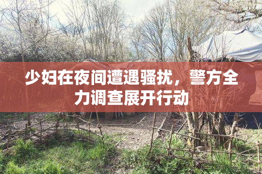 少妇在夜间遭遇骚扰，警方全力调查展开行动
