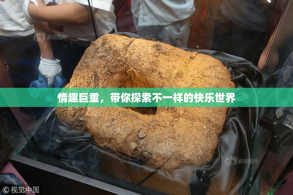 情趣巨重，带你探索不一样的快乐世界